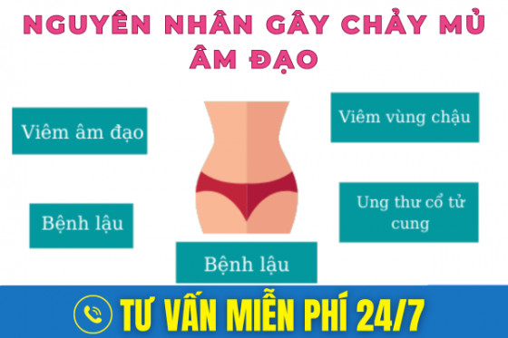 23.png