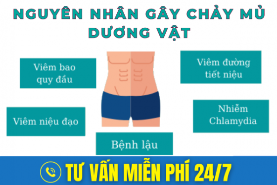 bxh (60).png