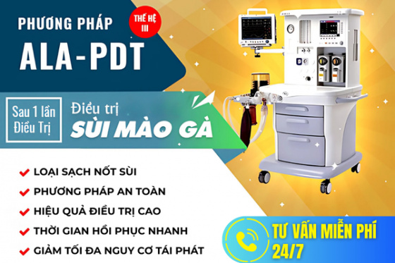 bxh - 2025-07-05T154550.005.png