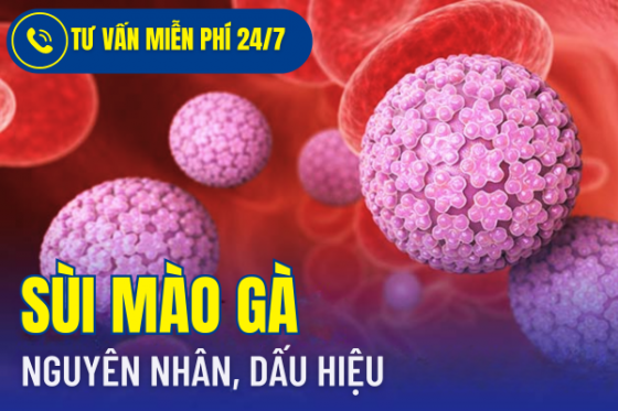 bxh (98).png